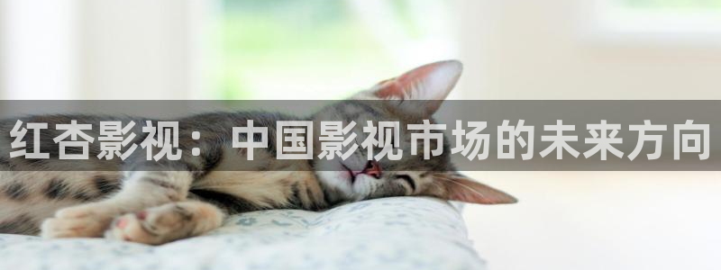 97影院午夜在线观看