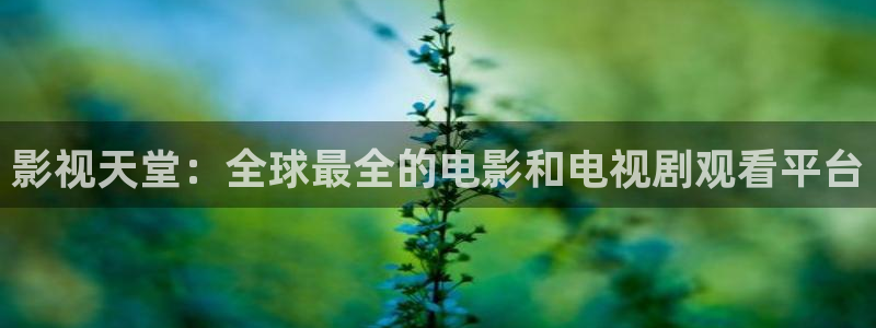 971影院在线观看